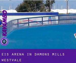 Eis-Arena in Damons Mills Westvale