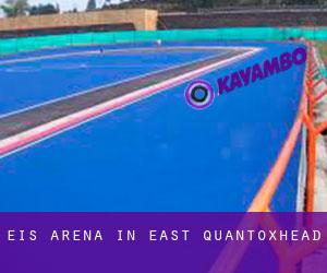 Eis-Arena in East Quantoxhead