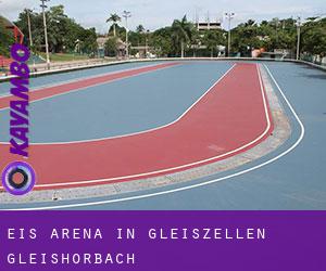 Eis-Arena in Gleiszellen-Gleishorbach