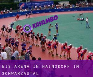 Eis-Arena in Hainsdorf im Schwarzautal
