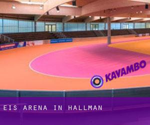 Eis-Arena in Hallman