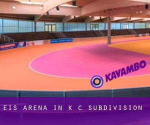 Eis-Arena in K C Subdivision