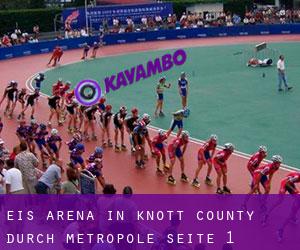 Eis-Arena in Knott County durch metropole - Seite 1
