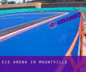 Eis-Arena in Mountville