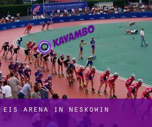 Eis-Arena in Neskowin
