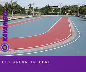Eis-Arena in Opal