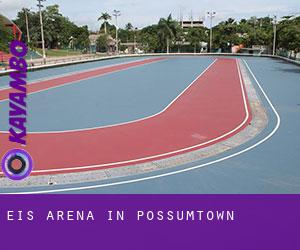 Eis-Arena in Possumtown