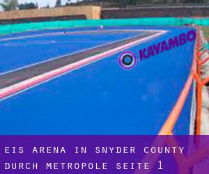 Eis-Arena in Snyder County durch metropole - Seite 1