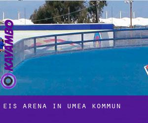 Eis-Arena in Umeå Kommun
