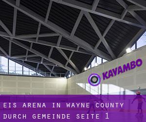 Eis-Arena in Wayne County durch gemeinde - Seite 1