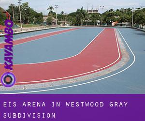 Eis-Arena in Westwood-Gray Subdivision