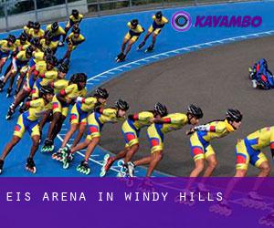 Eis-Arena in Windy Hills