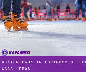 Skaten Bahn in Espinosa de los Caballeros