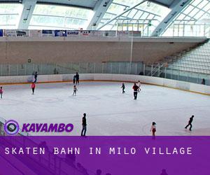 Skaten Bahn in Milo Village