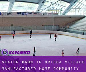 Skaten Bahn in Ortega Village Manufactured Home Community
