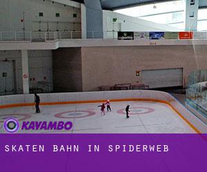 Skaten Bahn in Spiderweb
