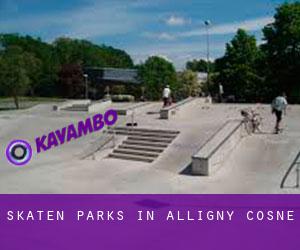 Skaten Parks in Alligny-Cosne