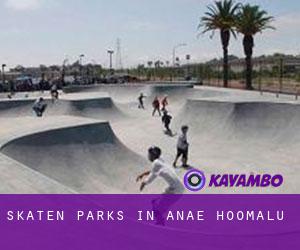 Skaten Parks in ‘Anae-ho‘omalu