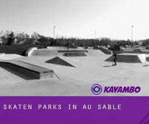 Skaten Parks in Au Sable