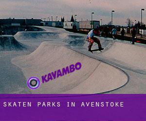 Skaten Parks in Avenstoke