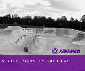 Skaten Parks in Bachhorn