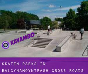 Skaten Parks in Balcynamoyntragh Cross Roads