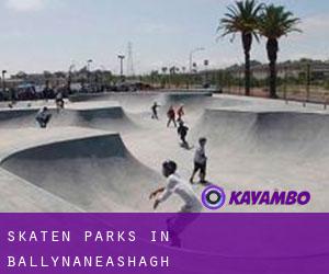 Skaten Parks in Ballynaneashagh