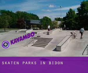 Skaten Parks in Bidon