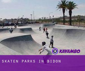 Skaten Parks in Bidon