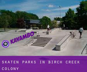 Skaten Parks in Birch Creek Colony