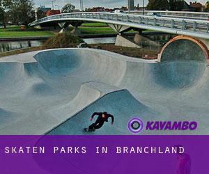 Skaten Parks in Branchland
