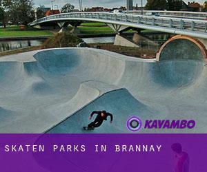 Skaten Parks in Brannay