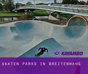 Skaten Parks in Breitenwang