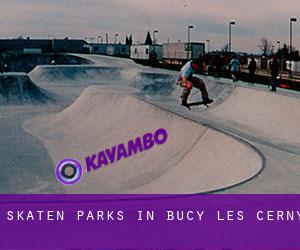 Skaten Parks in Bucy-lès-Cerny