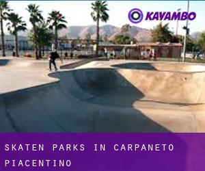 Skaten Parks in Carpaneto Piacentino