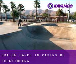 Skaten Parks in Castro de Fuentidueña