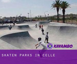 Skaten Parks in Cellé