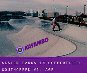 Skaten Parks in Copperfield Southcreek Village