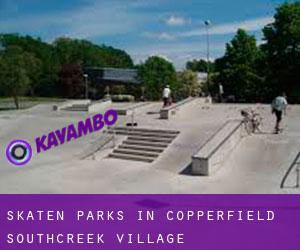 Skaten Parks in Copperfield Southcreek Village