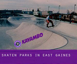Skaten Parks in East Gaines