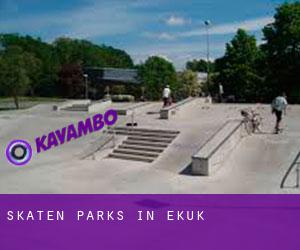 Skaten Parks in Ekuk