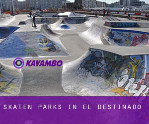 Skaten Parks in El Destinado