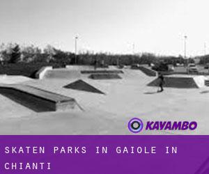 Skaten Parks in Gaiole in Chianti