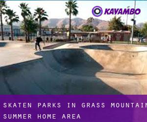 Skaten Parks in Grass Mountain Summer Home Area