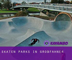 Skaten Parks in Großfahner