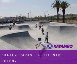 Skaten Parks in Hillside Colony
