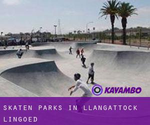 Skaten Parks in Llangattock Lingoed