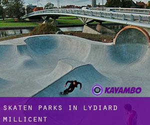 Skaten Parks in Lydiard Millicent