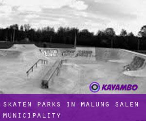 Skaten Parks in Malung-Sälen Municipality