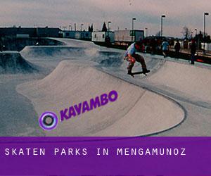 Skaten Parks in Mengamuñoz